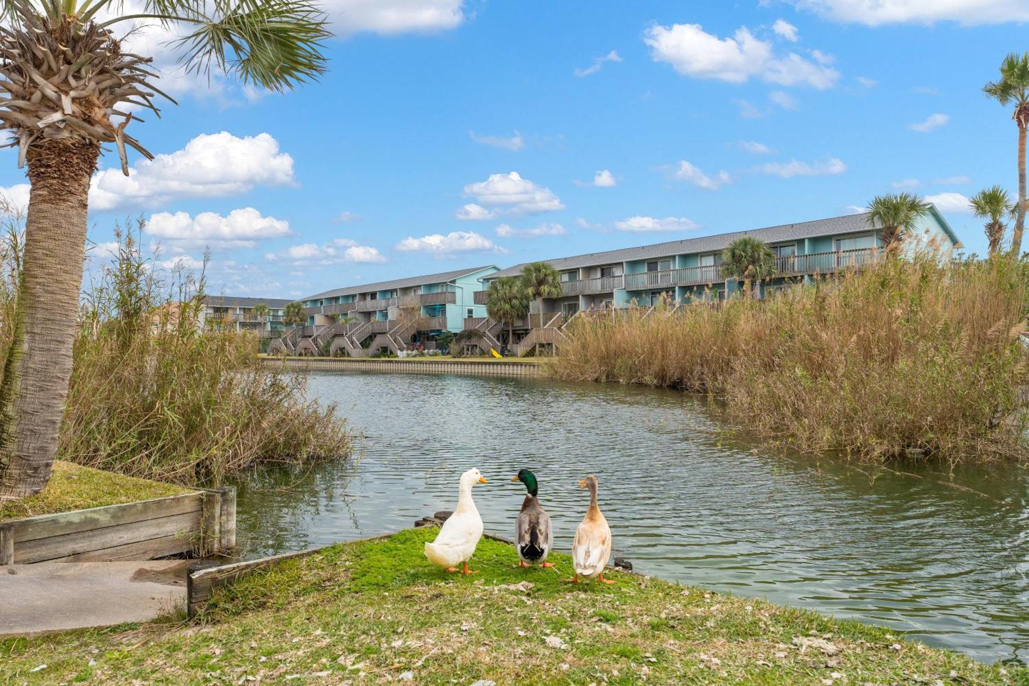 Villas On The Gulf L1- Ocean View Steps To Beach! Pensacola Beach Exteriér fotografie